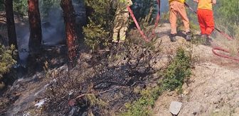 Hatay'da ormanlık alanda çıkan yangın söndürüldü