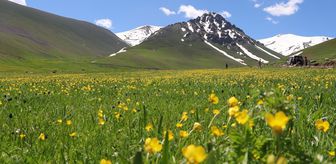 Iğdır'daki Zor Vadisi'nde kar ve bahar çiçekleri bir arada görüntülendi