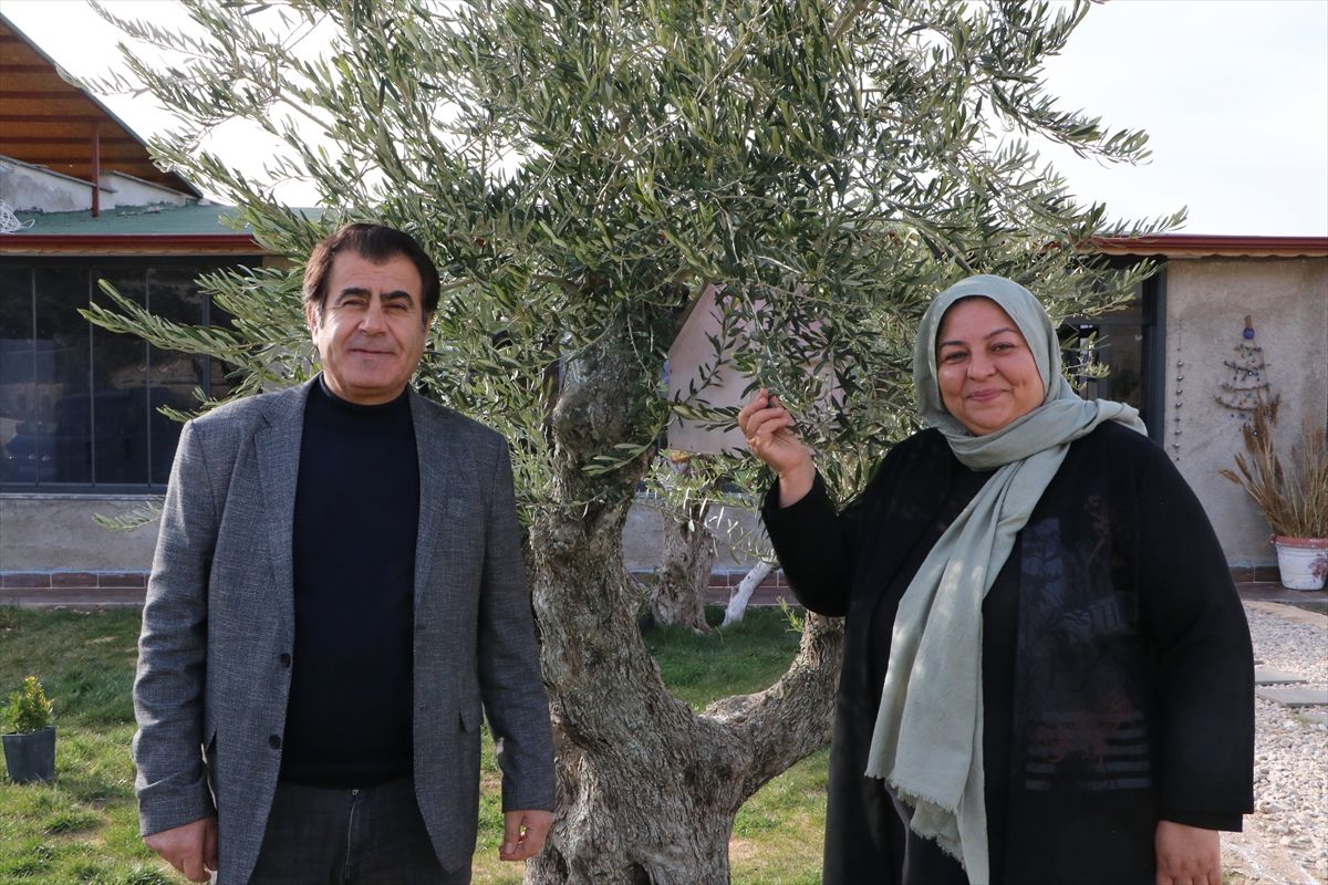 Kilisli çift, zeytinyağıyla uluslararası yarışmalarda 26 madalya kazandı