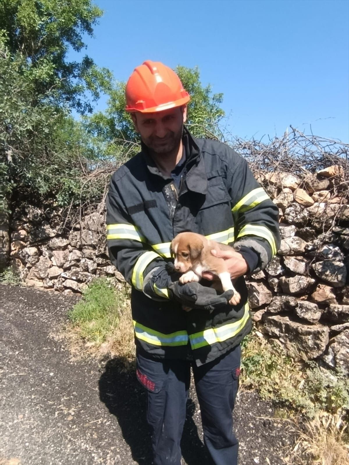 Mardin'de kuyuya düşen köpek yavrusu itfaiye ekiplerince kurtarıldı