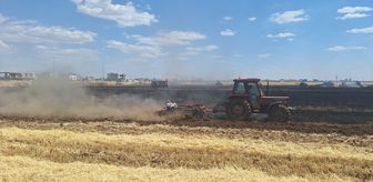 Mardin'de yaklaşık 80 dönüm buğday ekili alan yandı