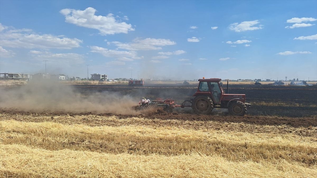 Mardin'de yaklaşık 80 dönüm buğday ekili alan yandı