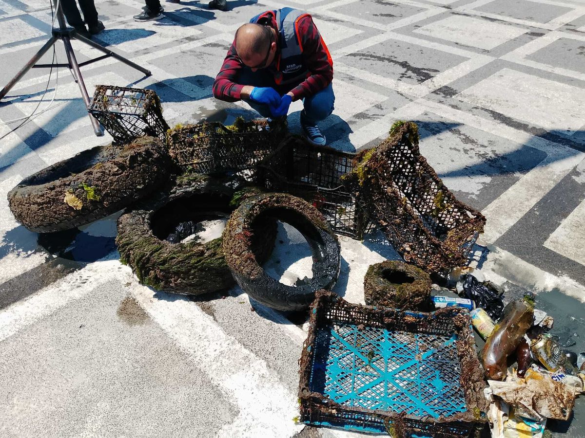 Marmara Denizi Günü'nde Silivri'de dalış etkinliği; denizden