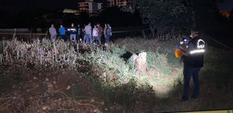 Aydın'da boş arazide erkek cesedi bulundu