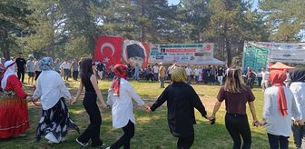 Pazaryeri'nde 'Büyük Marmara Artvinliler 5. Bişi Festivali' düzenlendi