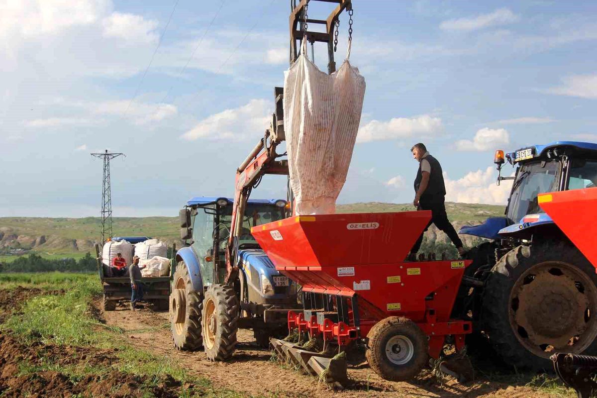 Sivas'ta patates ekim sezonu başladI, hedef 75 bin ton