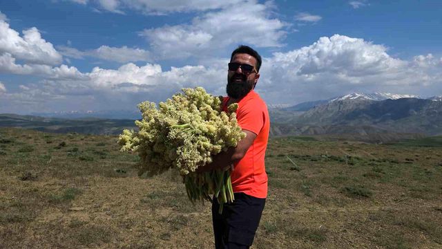 yayla muzunu vatandas kendi topluyor 3 19923525 o