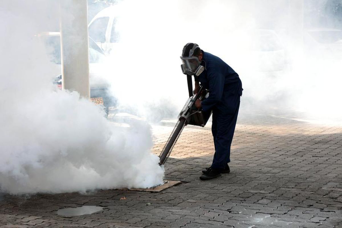 Albüm: Sri Lanka'da Dang Hummasıyla Mücadele Kapsa