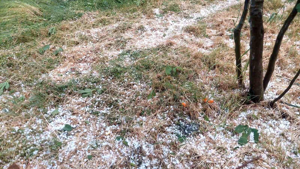 Aydın'da dolu etkili oldu, ağaçlar zarar gördü