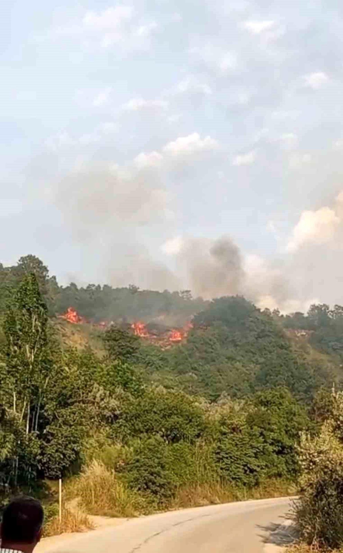 Bursa'da makilik alanda yangın