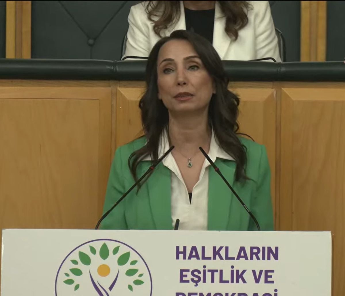 DEM Parti Eş Genel Başkanı Hatimoğulları: 'Özel yasanın haya