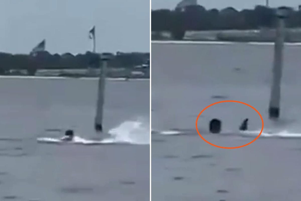 Donanma personeli öğle arasında denize girdi, köpekbalığının saldırısına uğradı
