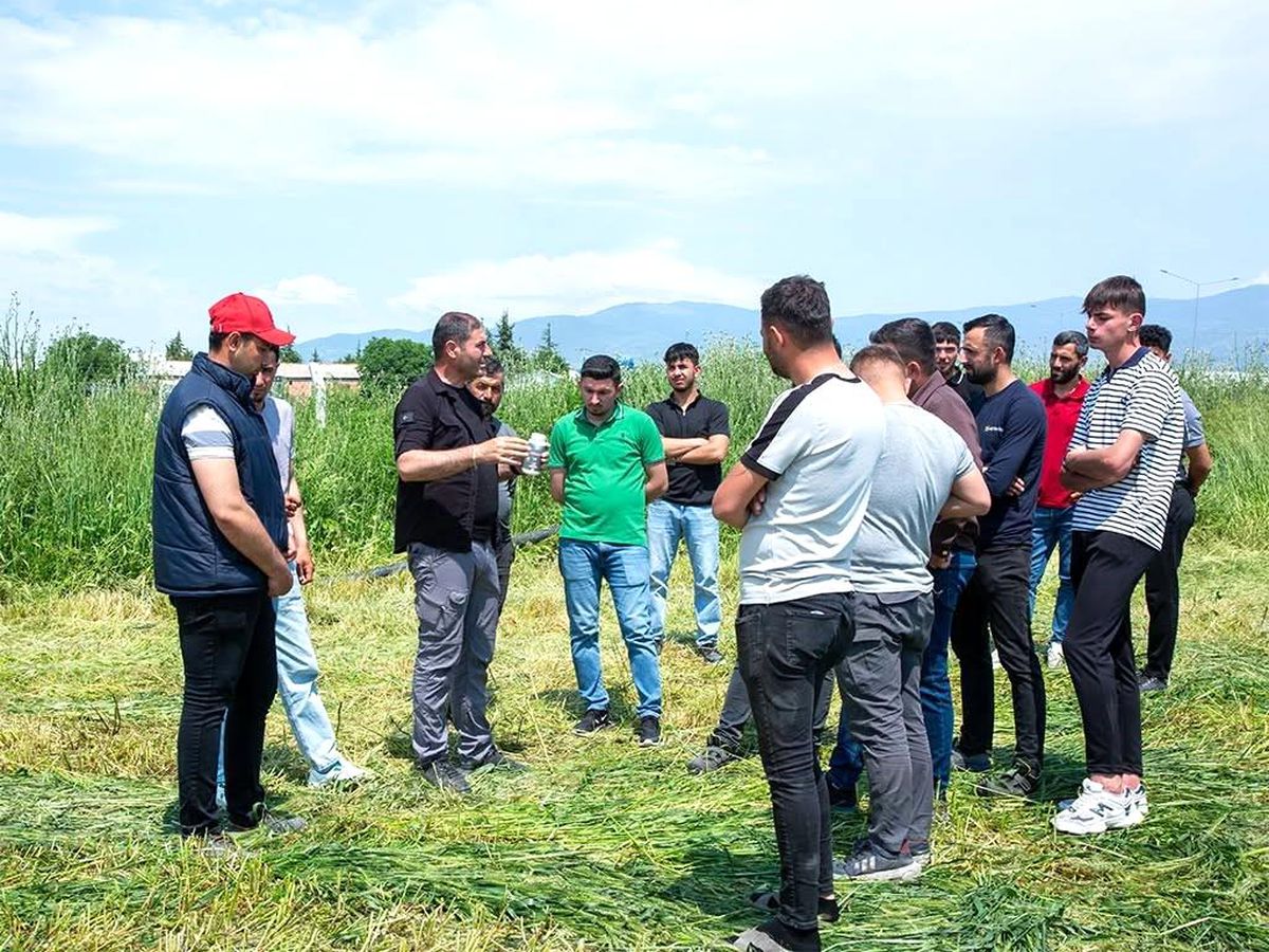 Amasya'da genç çiftçilere yönelik tarım ve hayvancılık eğitimleri düzenleniyor.