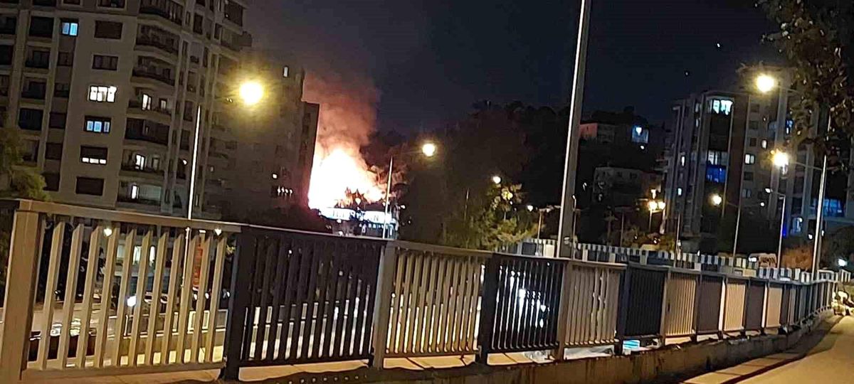 İzmir'de otluk alanda korkutan yangın