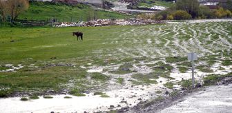 Kars'ta sağanak ve dolu etkili oldu
