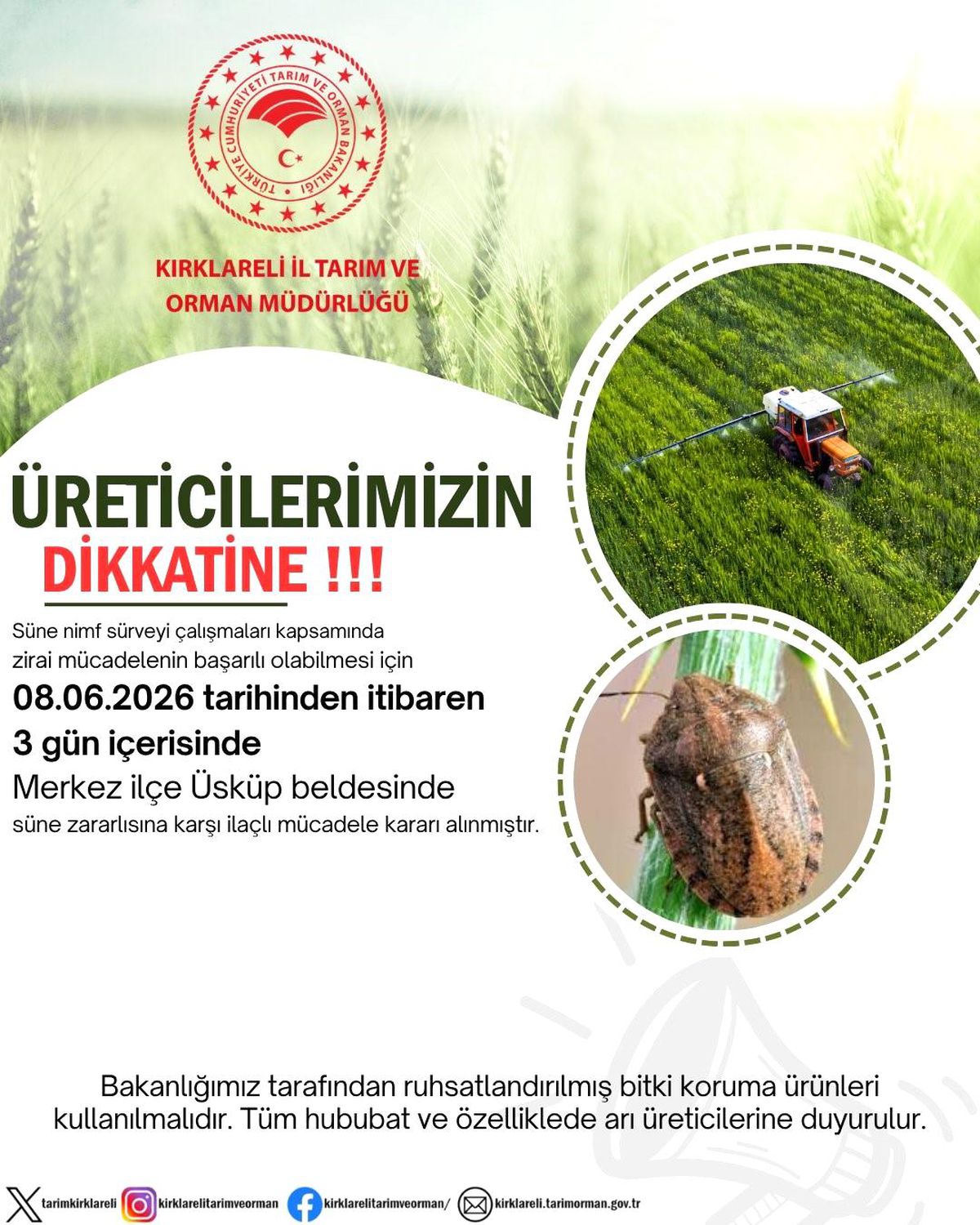 Kırklareli'nde hububat tarlalarında süne zararlısına karşı ilaçlama yapıldığı anı gösteren bir görsel.