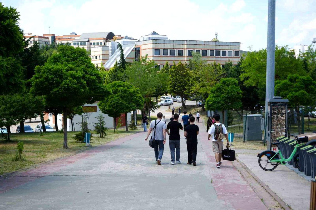Kocaeli Üniversitesi'nde sahipsiz köpekler azaldı, öğrencile