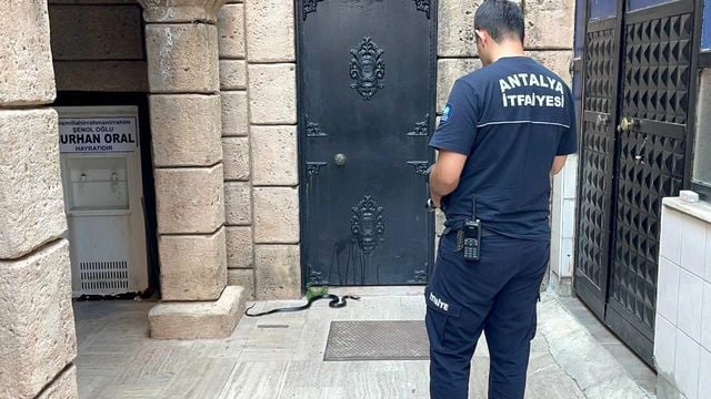 namaza gelen cemaat karsilastiklari yilani on 19927580 o