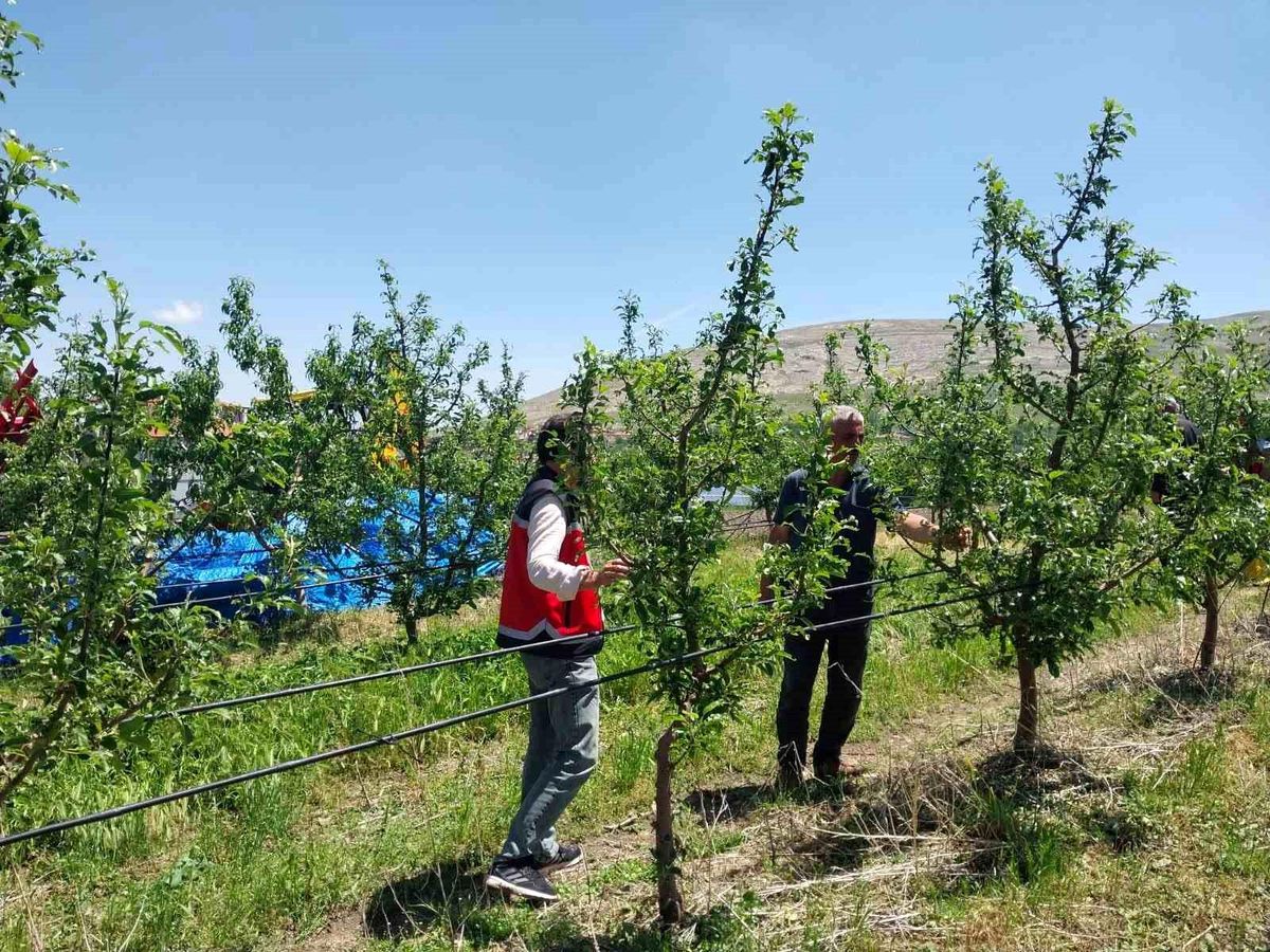 Niğde'de dolu ve sağanak tarım arazilerine zarar verdi