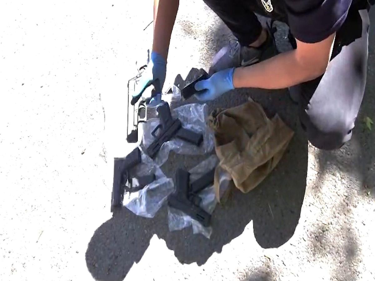 Niğde'de silah kaçakçılığı operasyonu: 7 ruhsatsız tabanca e