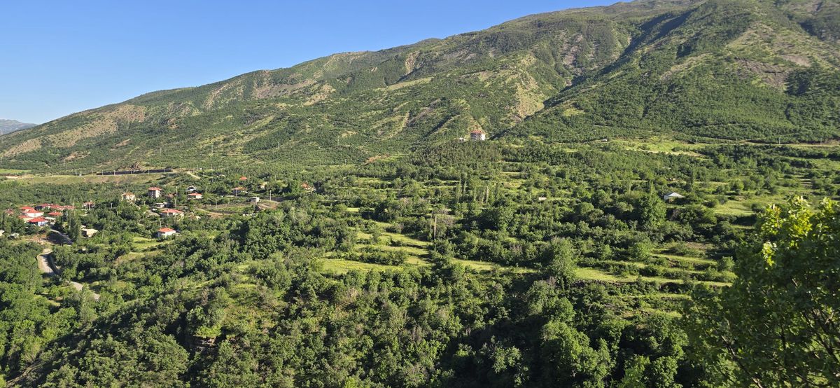 Şırnak'ta Ormanlara Giriş ve Çıkışlar Yasaklandı