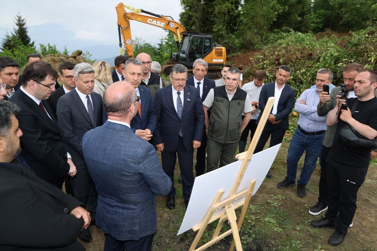 Trabzon'da sahipsiz hayvanlar için doğal yaşam alanının yapımına başlandı