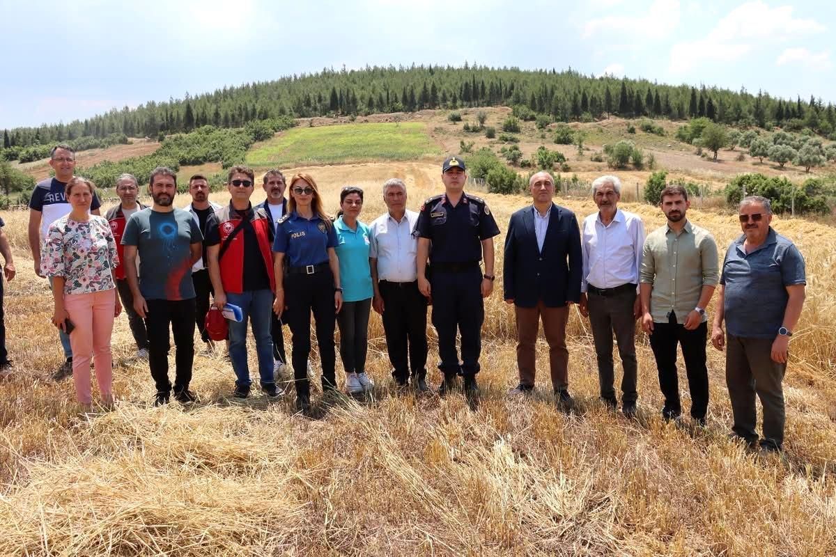 Yatağan'da hasat şenliğine yoğun katılım