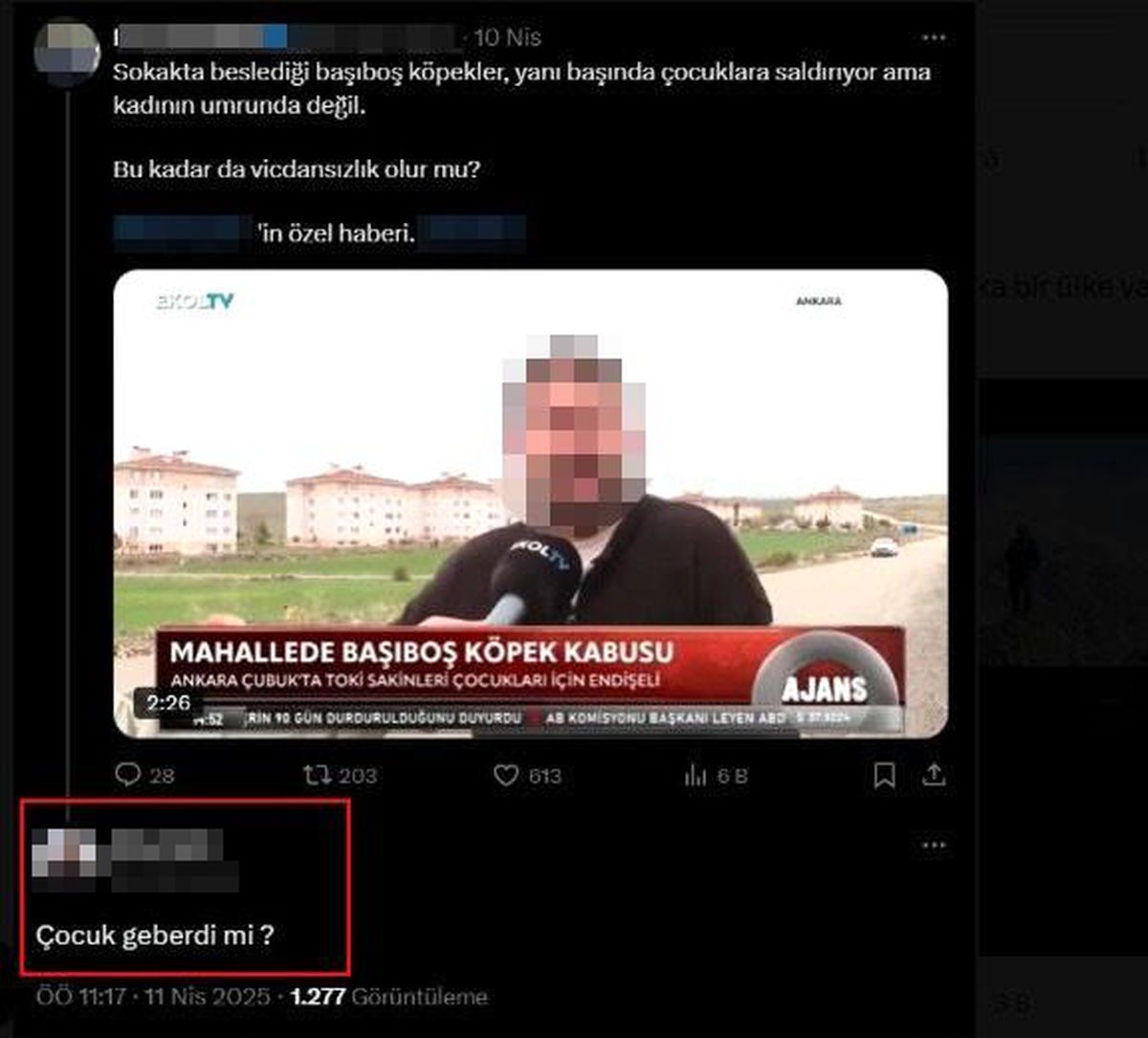 Aile sağlığı merkezindeki sedyede köpek tedavi eden doktorun