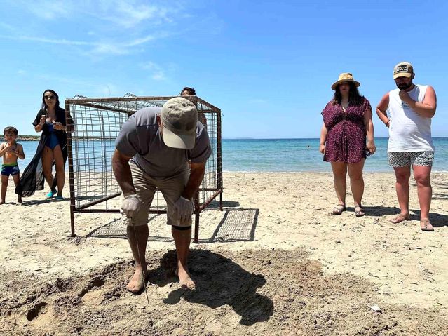 Aydın'da yılın ilk Caretta Caretta yuvası tespit edildi