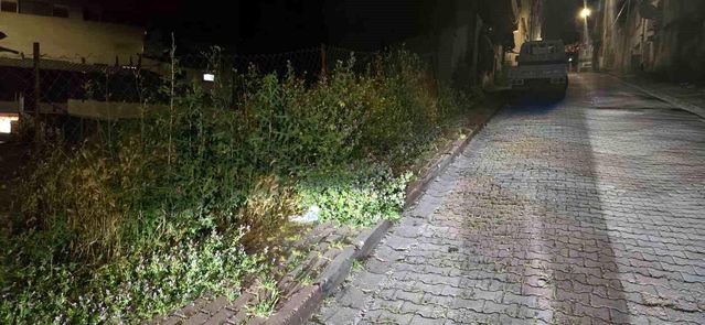 Bilecik'te vatandaşlar otlardan kaldırımda yürüyemiyor