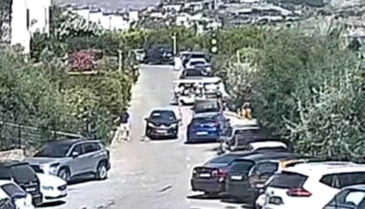 Bodrum'daki köpek davasında sanık beraat etti