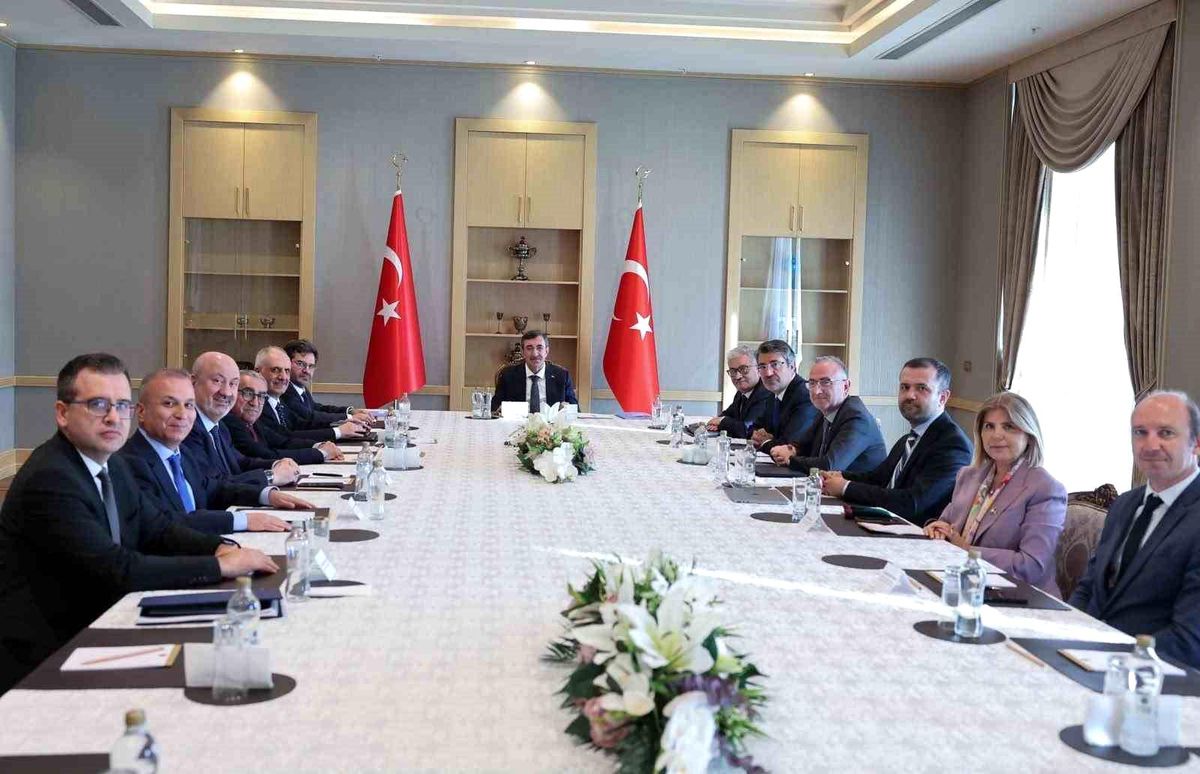 Cumhurbaşkanı Yardımcısı Yılmaz, Cumhurbaşkanlığı Ekonomi Po