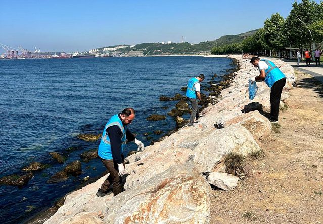 Dilovası'nda Marmara Denizi için sahil temizliği yapıldı