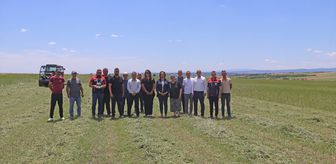 Edirne'de mera ıslahının ardından ilk biçim gerçekleştirildi