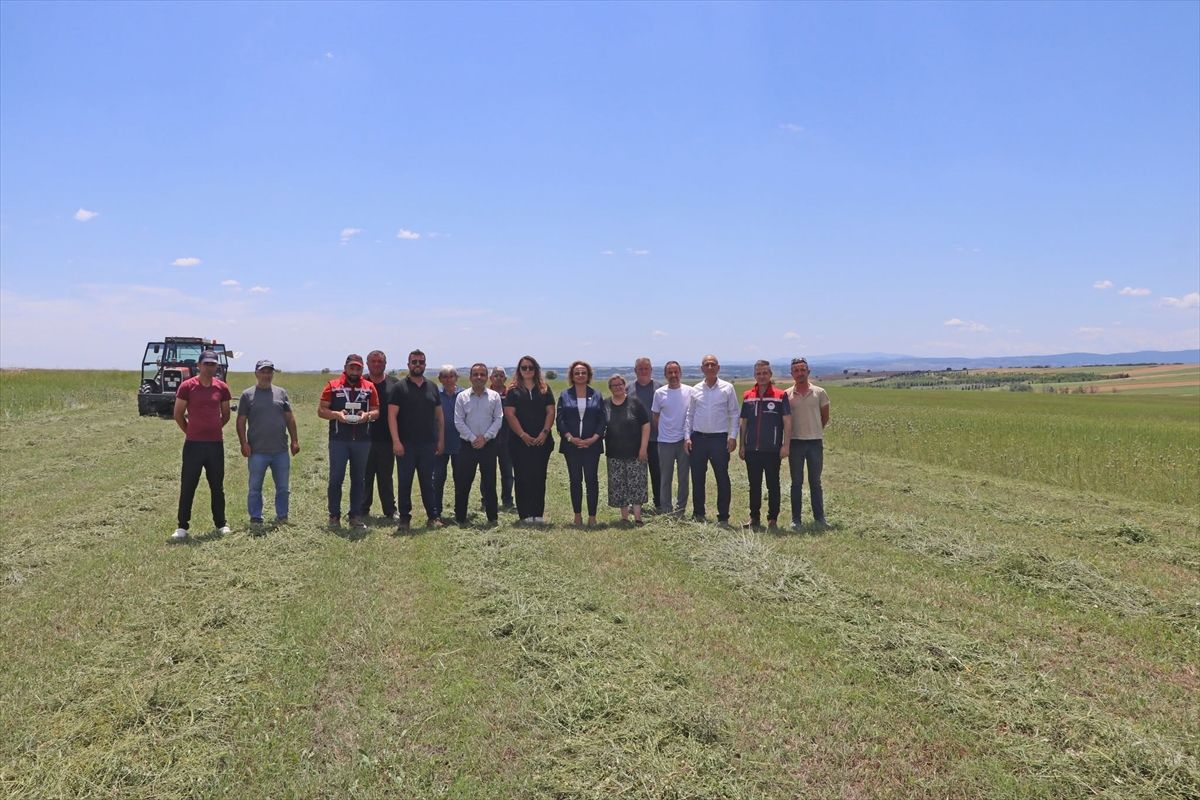 Edirne'de mera ıslahının ardından ilk biçim gerçekleştirildi