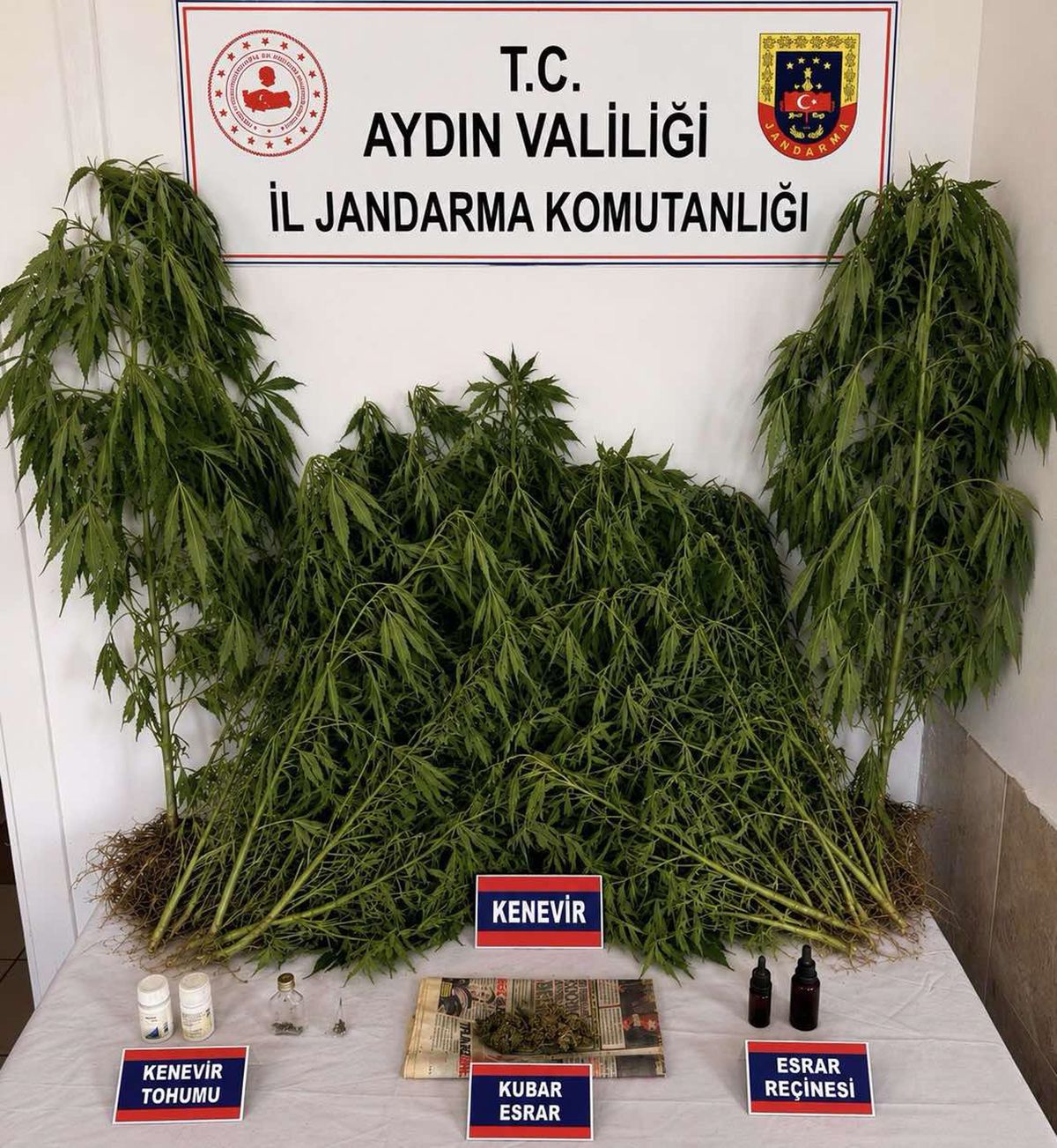 Evinde uyuşturucuyla yakalanıp, gözaltına alındı