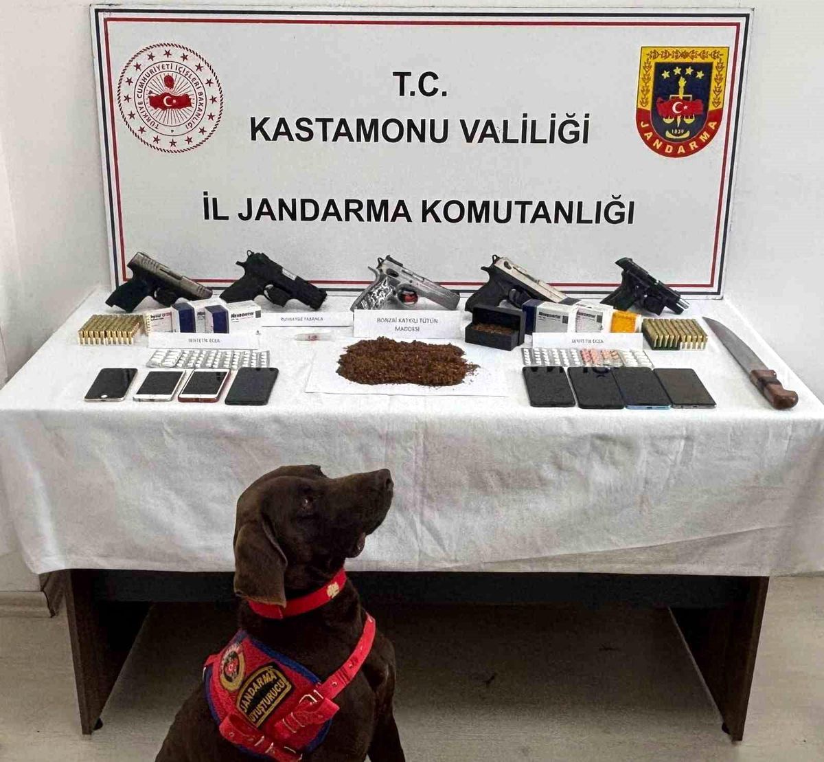 Kastamonu'da uyuşturucu operasyonu: 9 gözaltı