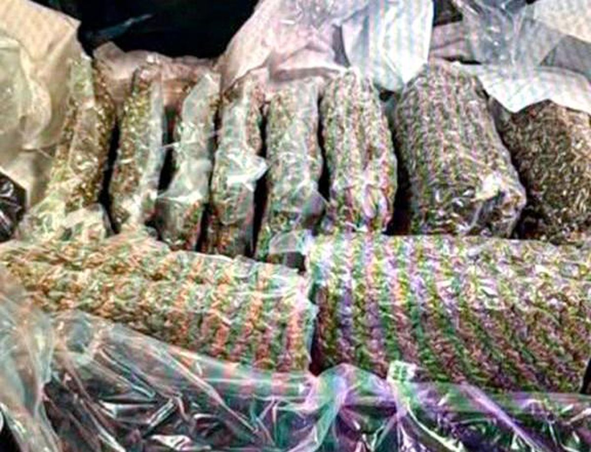 Kazakistan'da bagajında 21 kilo esrar taşıyan kadın gözaltına alındı