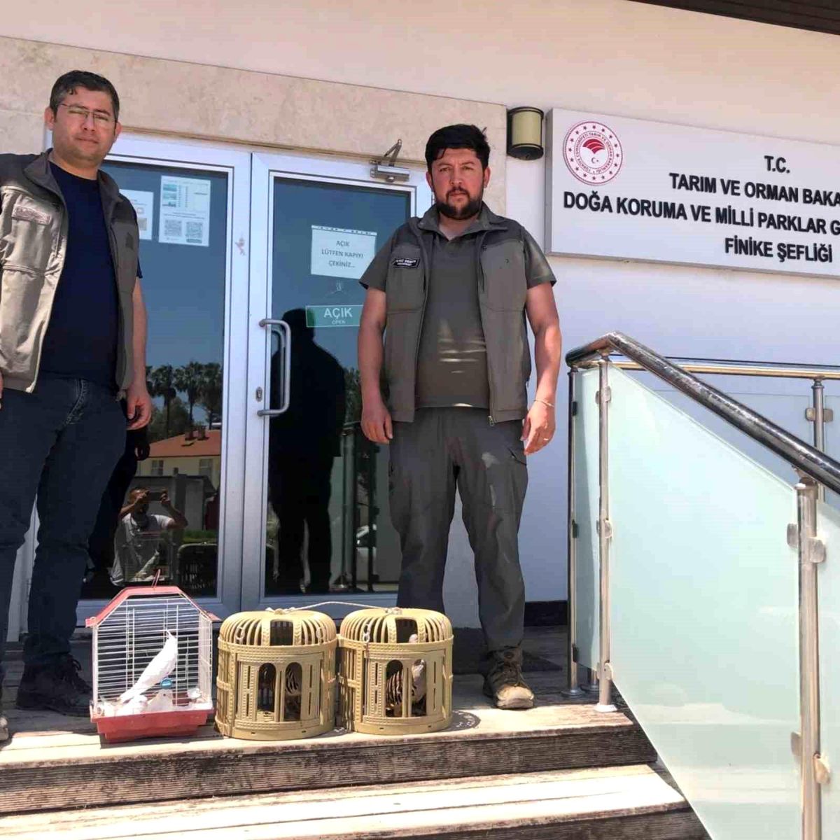Kuş denetiminde kafeslerdeki keklik ve papağanlara el konuld