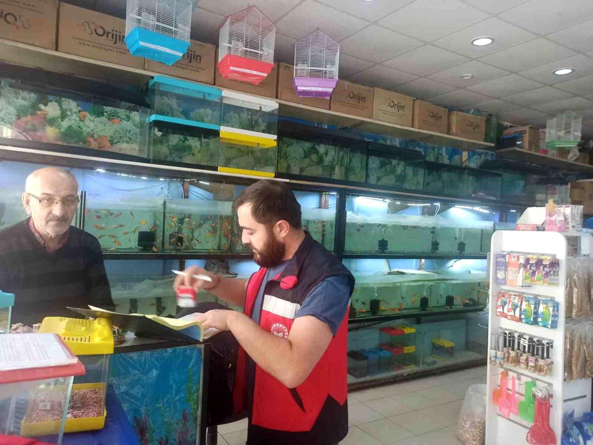 Kütahya'da ev hayvanı satış yerlerinde denetim