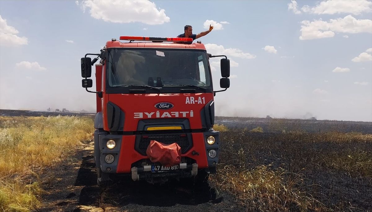 Mardin'de buğday ve arpa ekili alanda çıkan yangın söndürüldü
