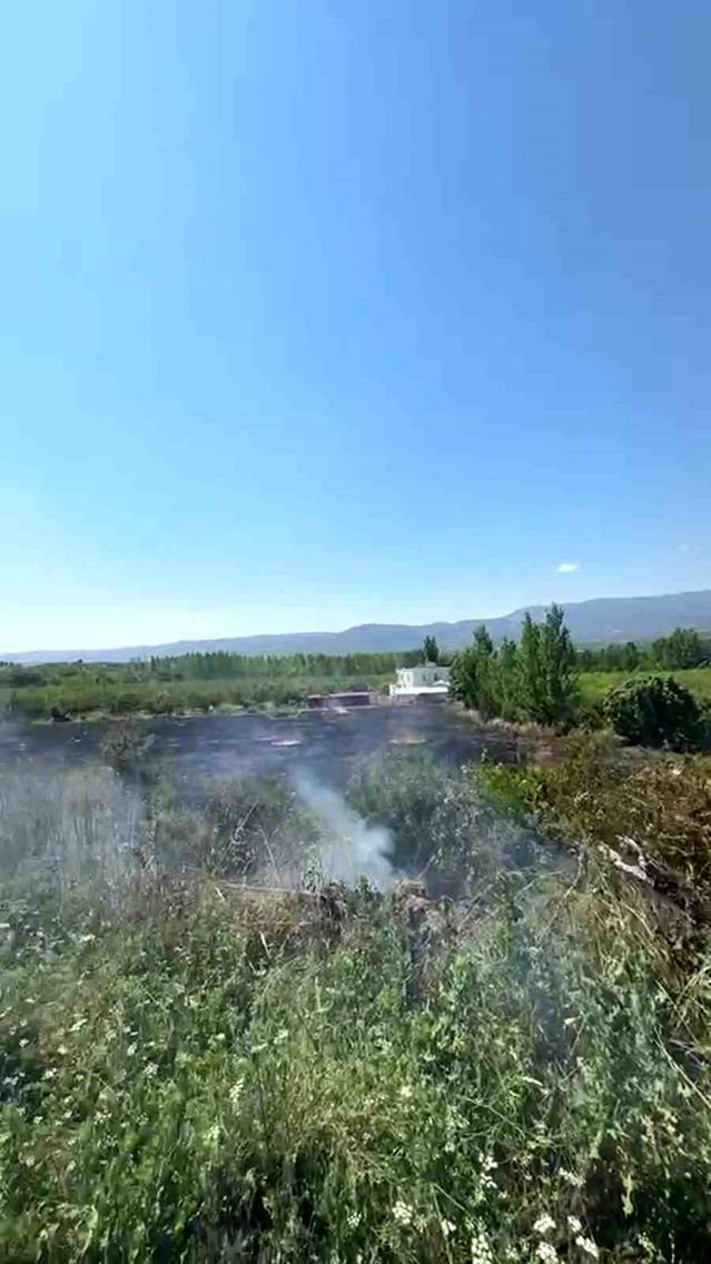 Mersin Mut'ta yangın: 15 dönüm bahçe zarar gördü