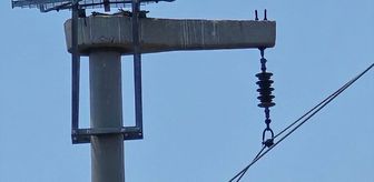 Şırnak'ta leyleklerin akıma kapılmaması için direklere 13 özel platform kuruldu