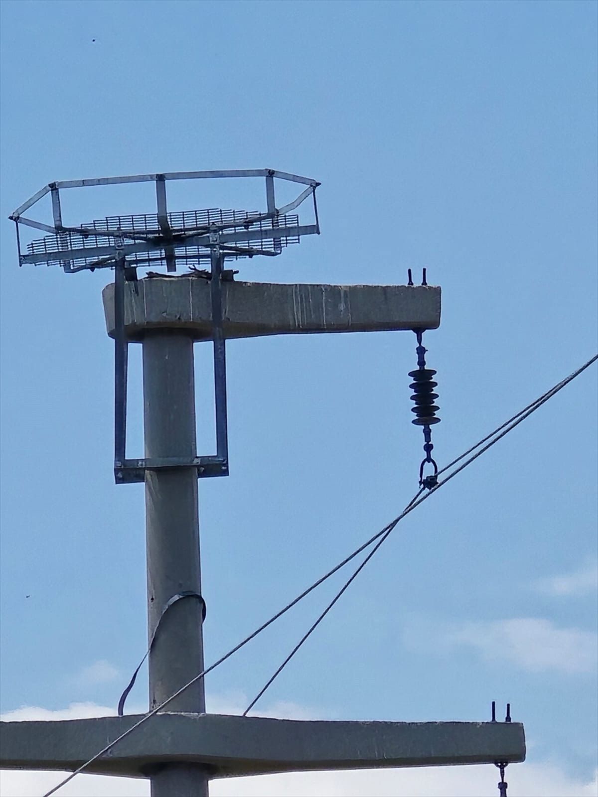 Şırnak'ta leyleklerin akıma kapılmaması için direklere 13 özel platform kuruldu