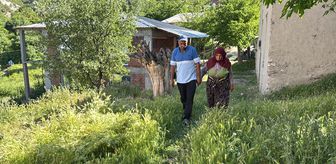 Sultan ninenin kaçan kurbanlık koçu aranıyor