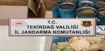 Tekirdağ'da 23 ton 900 kilogram kaçak tütün ele geçirildi