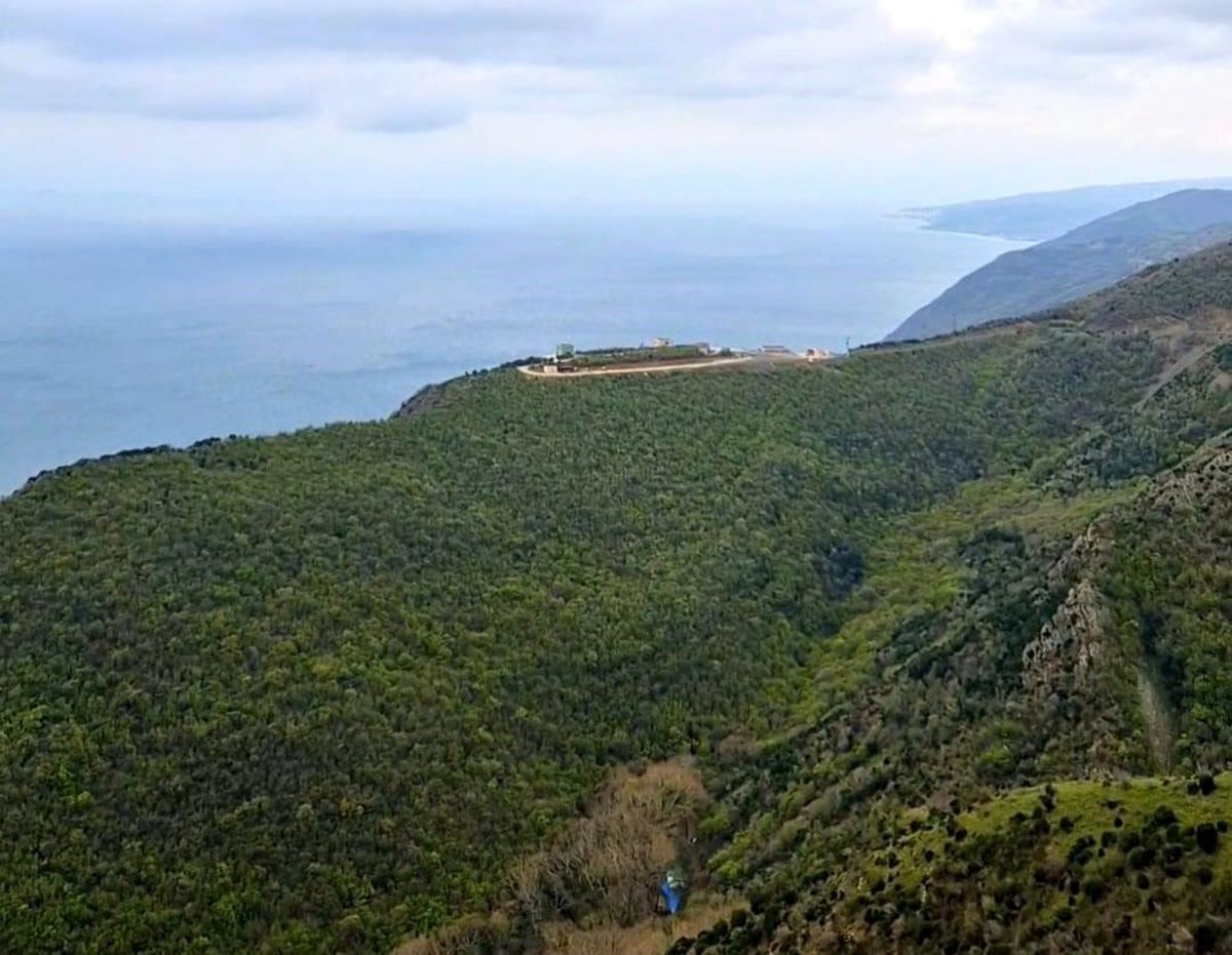 Tekirdağ'da ormanlara giriş 12 Hazirandan itibaren yasakland
