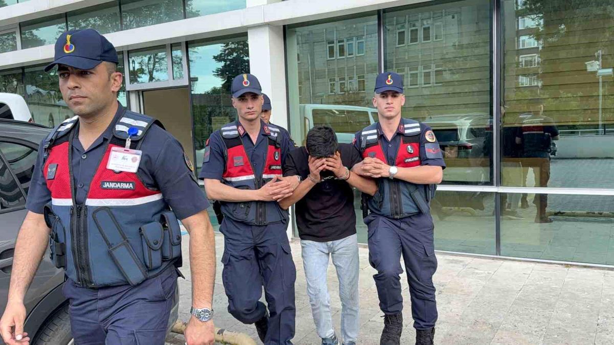 Televizyon hırsızlığı zanlısı, jandarma ekiplerince yakaland