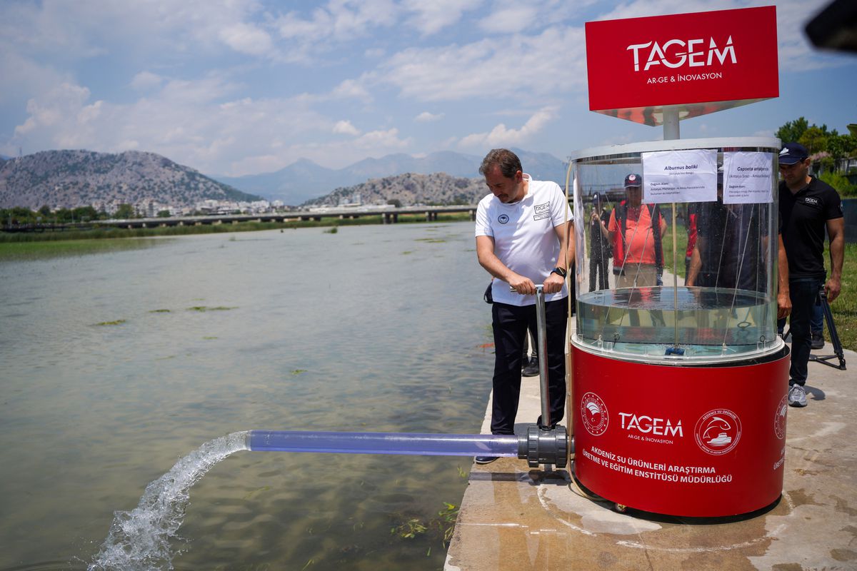 Antalya'da nesli tükenme tehlikesindeki endemik balıklar üre