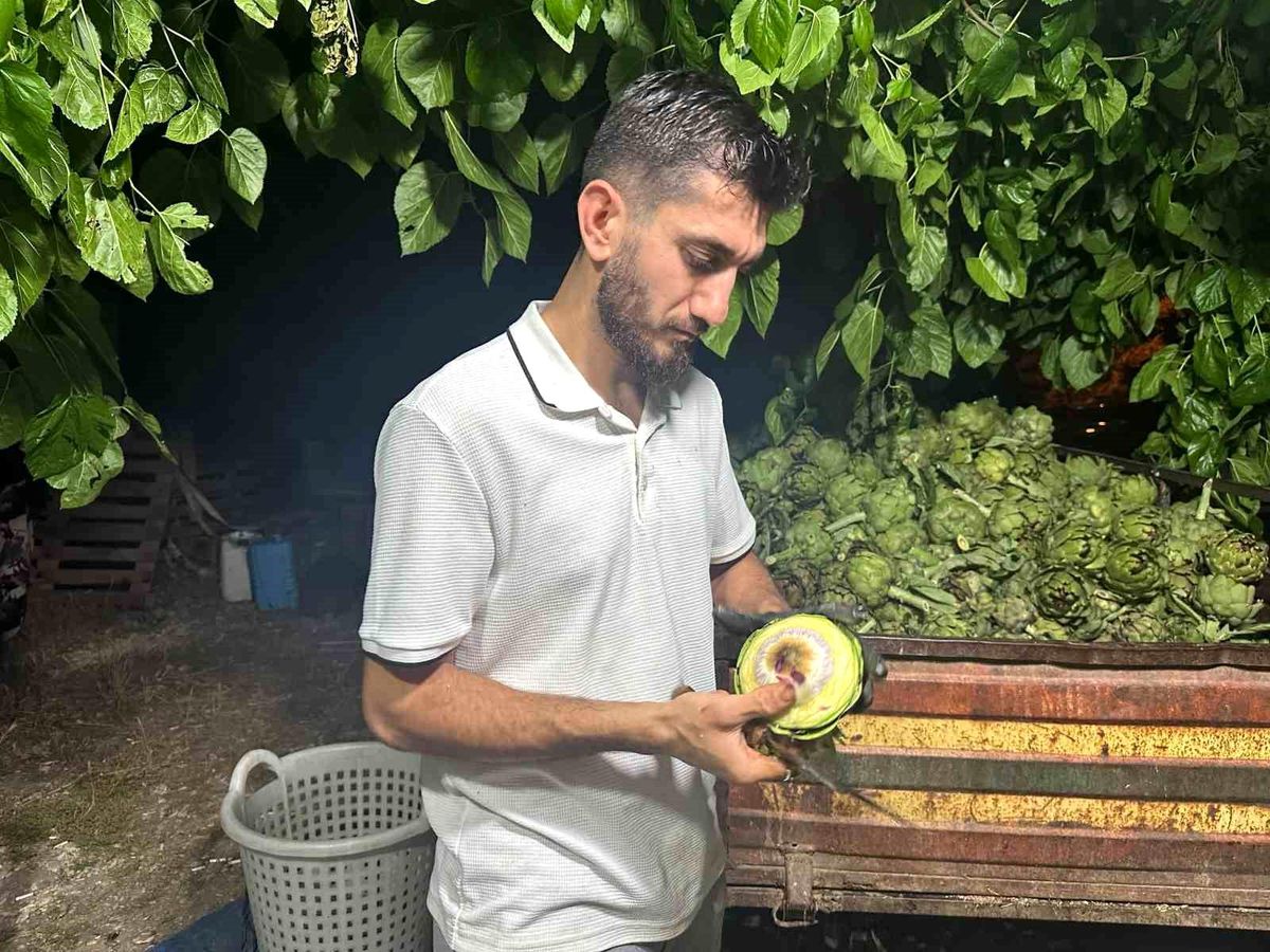 Ailecek enginar soyucular: Soyması 10 saniye sürüyor